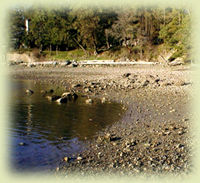 the waterfront beach at Scow Bay Retreat